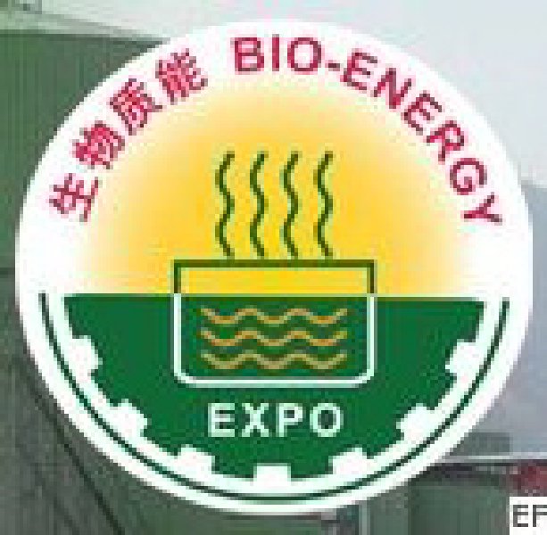 2010中國國際生物質(zhì)能源展