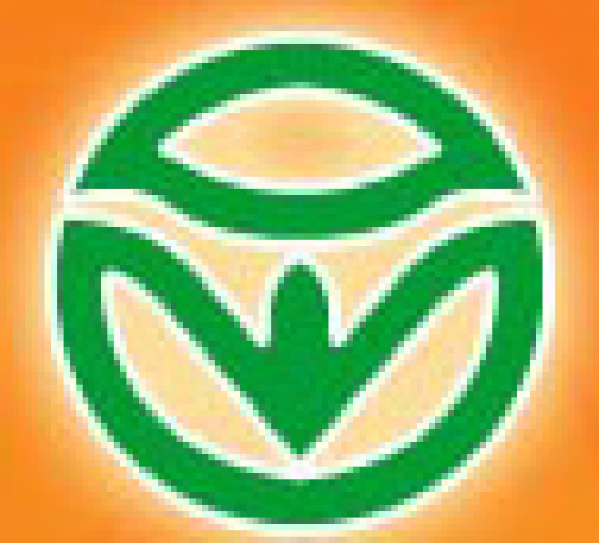 2011第二屆黑龍江綠色食品展銷周