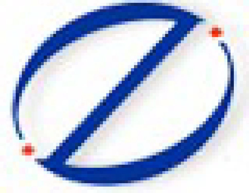 2011第十一屆中國(guó)(東北)國(guó)際建筑裝飾材料博覽會(huì)<br>2011沈陽(yáng)經(jīng)濟(jì)區(qū)國(guó)際尋建筑裝飾材料博覽會(huì)