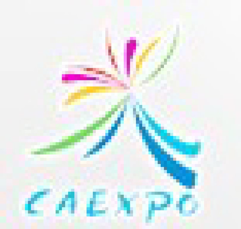 2011第八屆中國--東盟博覽會