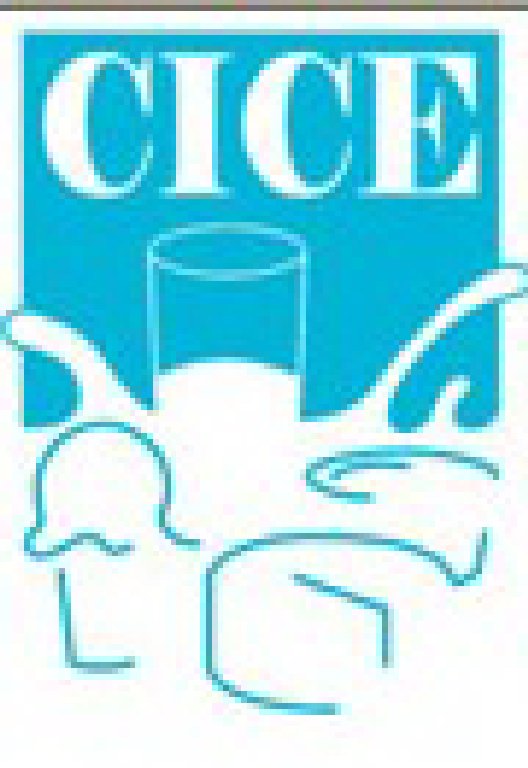 2011第二屆上海冰淇淋、冷凍食品工業(yè)展覽會