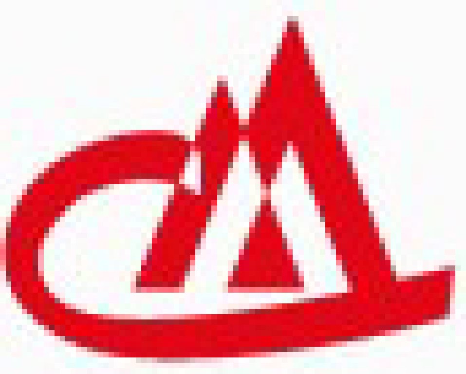 2011第十三屆中國(天津)國際礦業大會