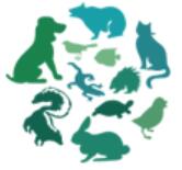 2025第13屆中國(guó)(深圳)國(guó)際寵物用品展覽會(huì)