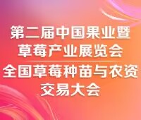 2025第二屆中國合肥果業暨草莓產業展覽會<br>全國草莓種苗與農資交易大會